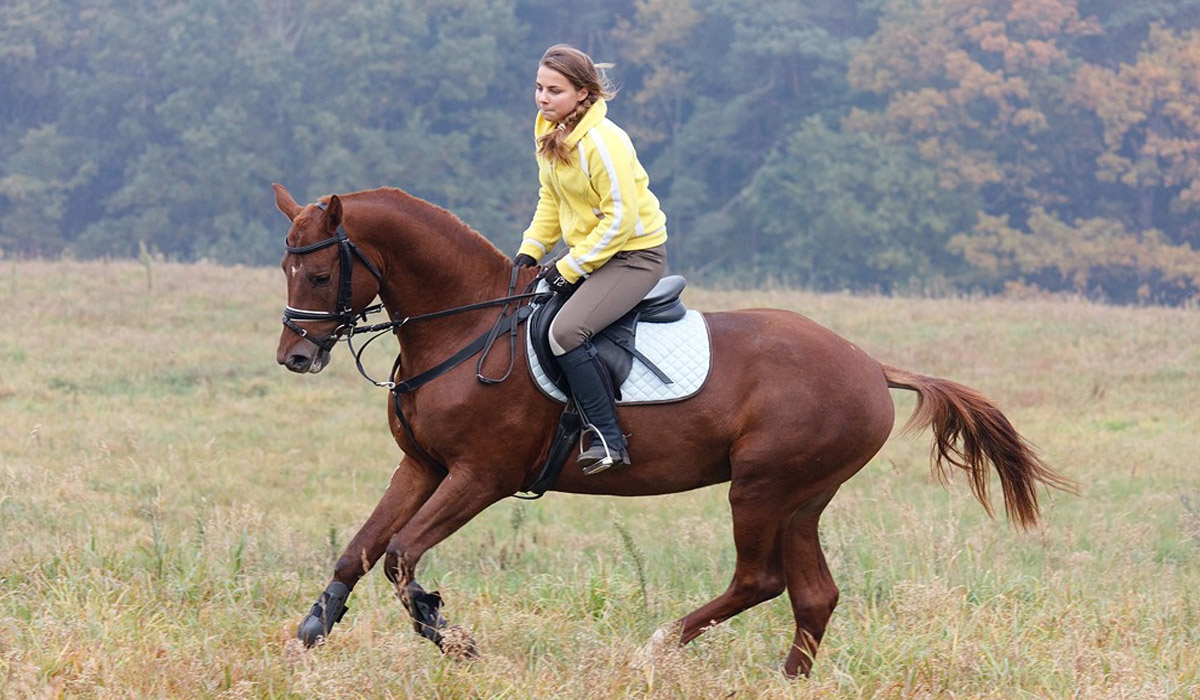 Horse Riding Tips:  Can You Ride With Arthritis 